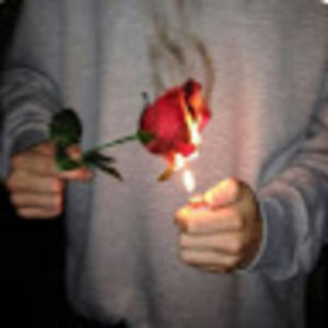 Meet your Posher, Ella